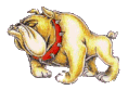 dawgr.gif